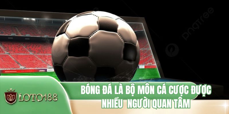 Bóng đá là bộ môn cá cược được nhiều  người quan tâm