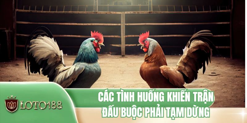Các tình huống khiến trận đấu buộc phải tạm dừng