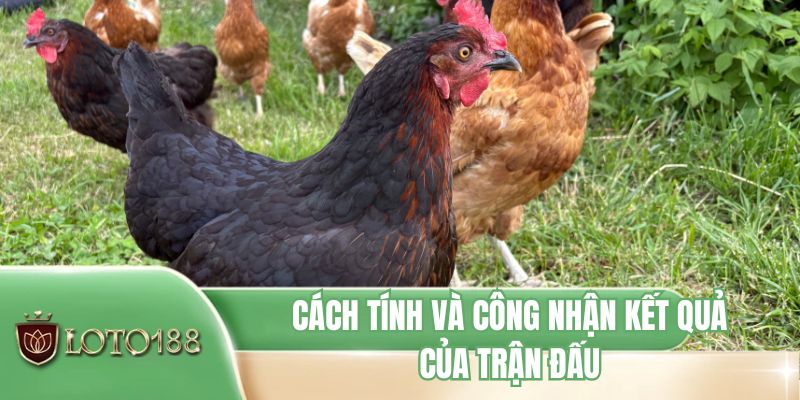 Cách tính và công nhận kết quả của trận đấu