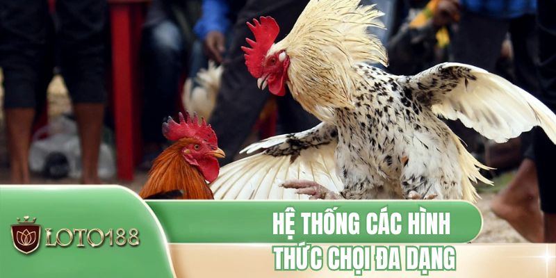 Hệ thống các hình thức chọi đa dạng