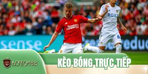 Kèo Bóng Trực Tiếp - Phân Tích Tỷ Lệ Chuẩn Tại LOTO188