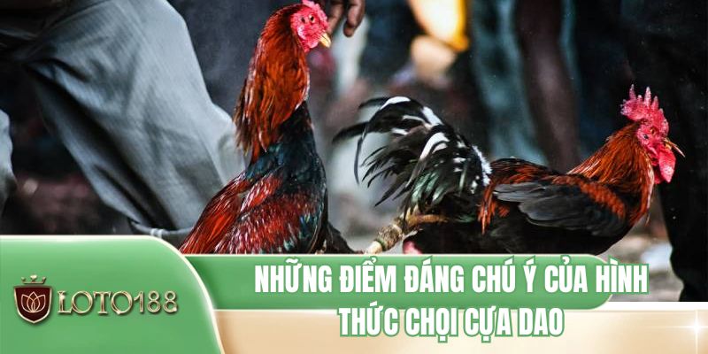 Những điểm đáng chú ý của hình thức chọi cựa dao