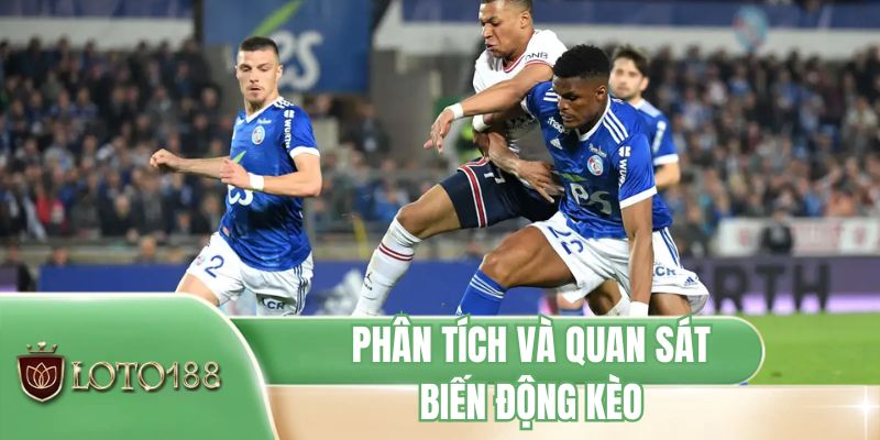 Phân tích và quan sát biến động kèo