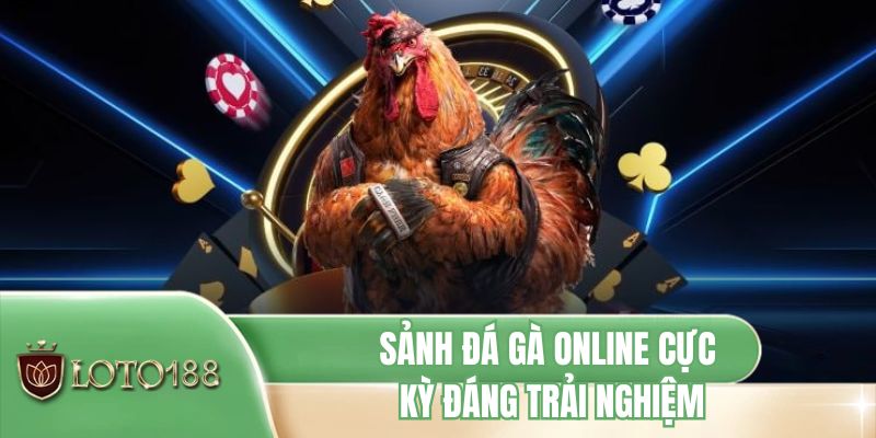 Sảnh đá gà online cực kỳ đáng trải nghiệm